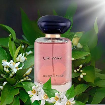 Ur Way Fragance World 100ML EDP
