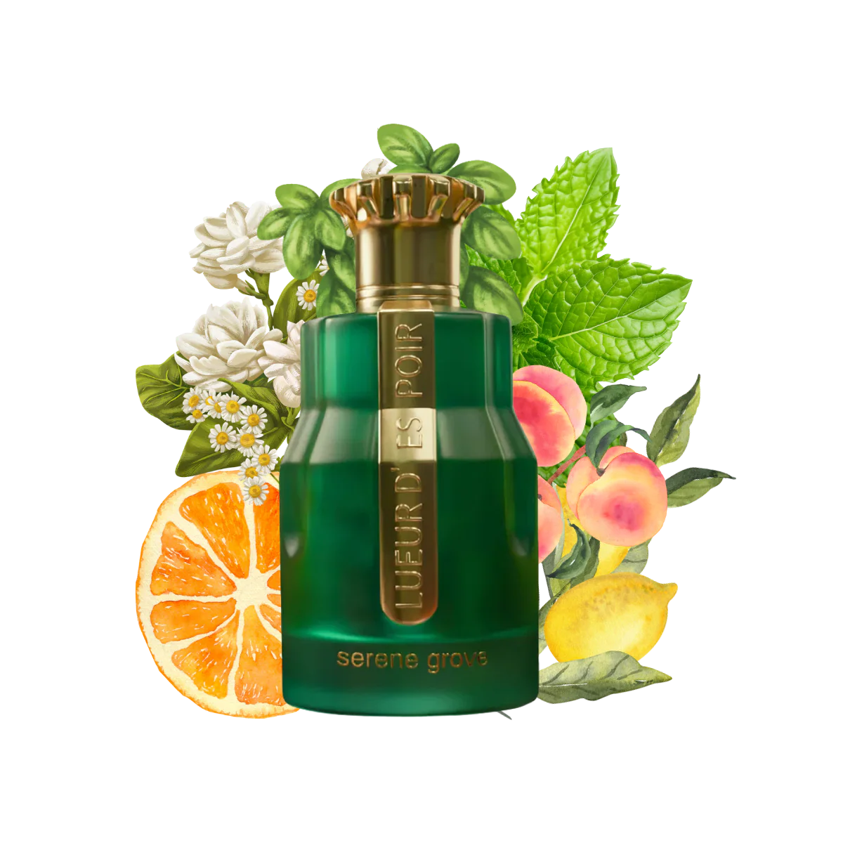 LUEUR D' ESPOIR SERENE GROVE PARIS CORNER EDP 100ML