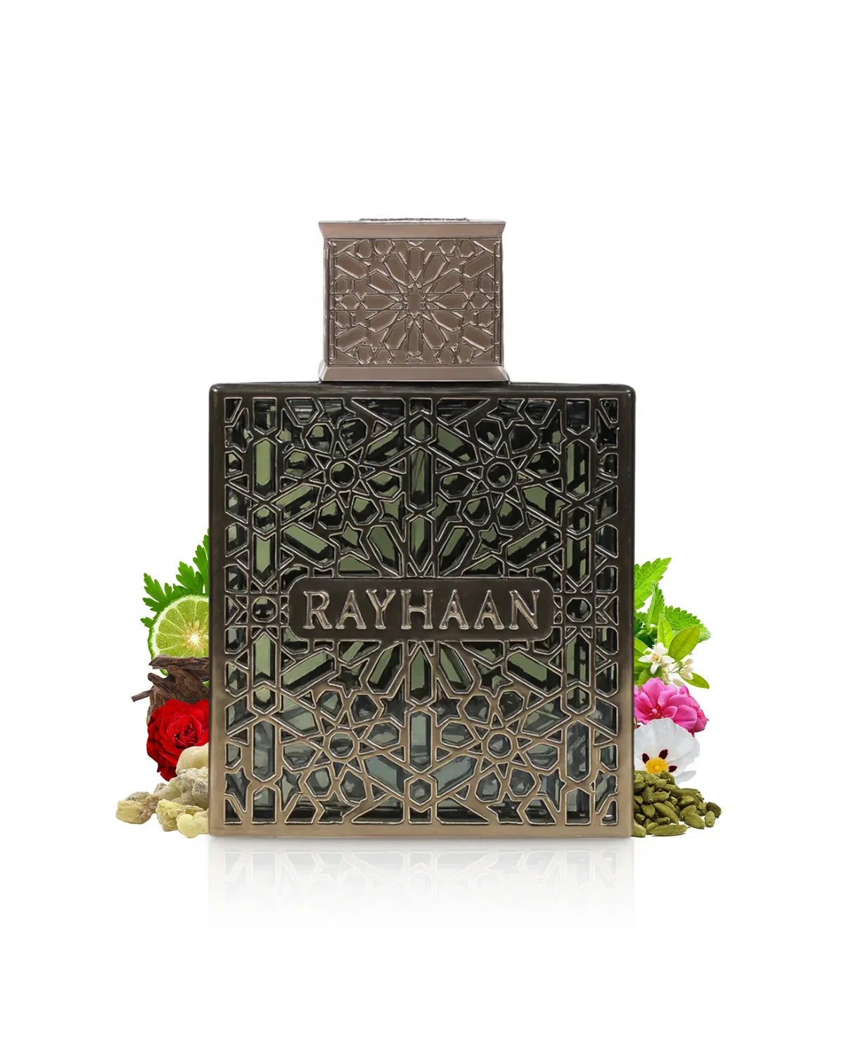 Terra Rayhaan 100ML EDP